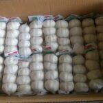 Garlic Fresh China 500Gm X 20