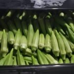 Okra Fresh Honduras 🇭🇳 5Kg